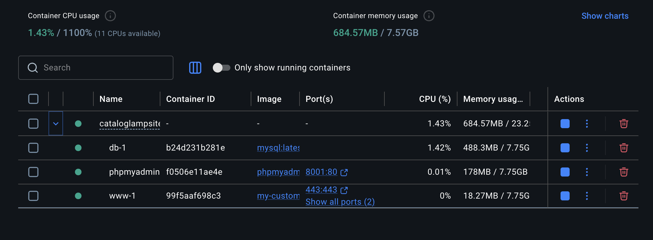 screenshot of docker container